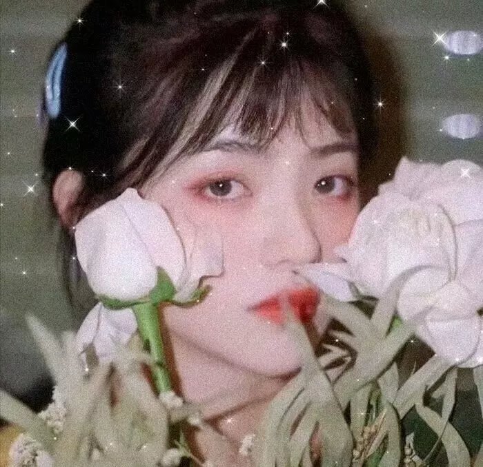 和你一起飞
