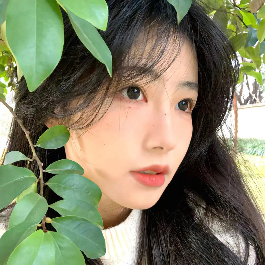 逆青春 第二季